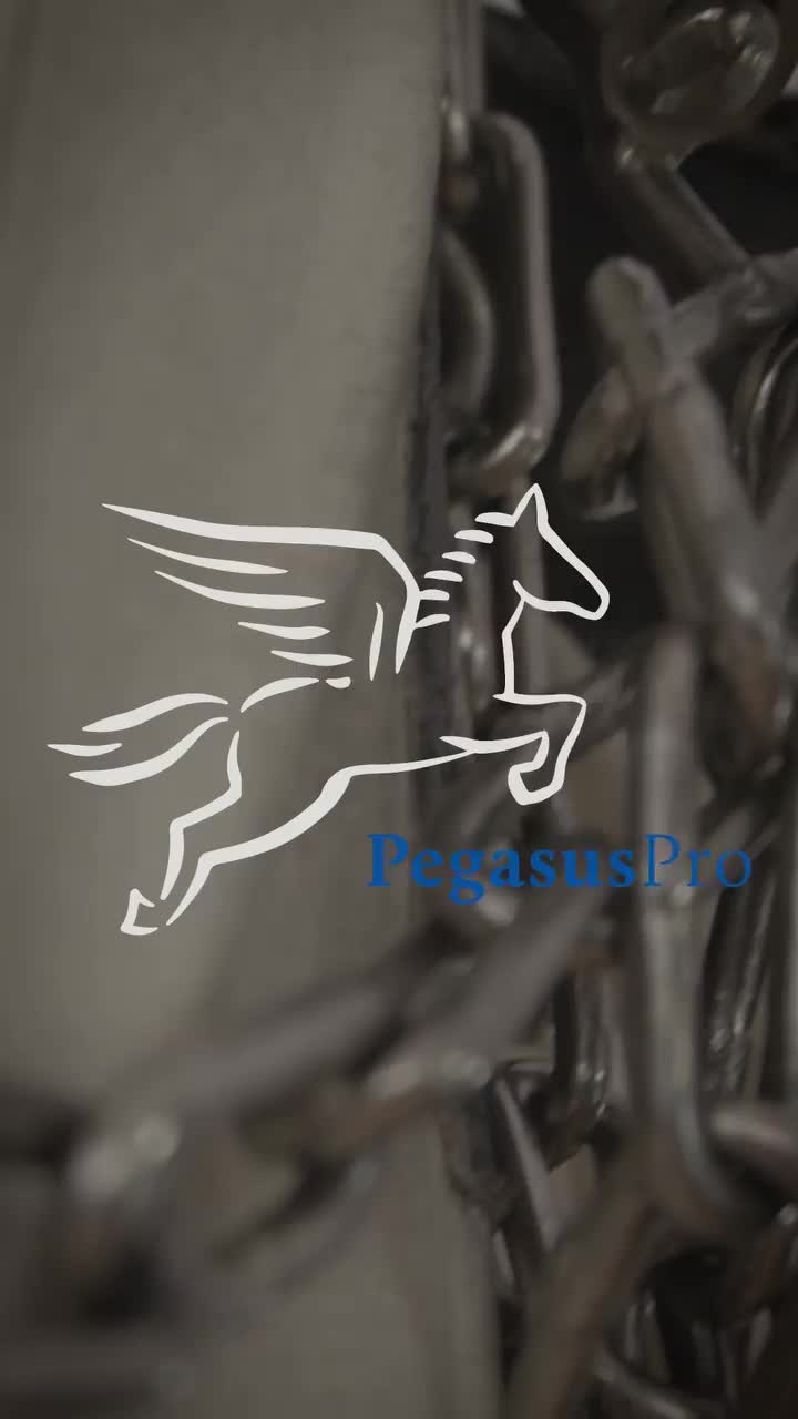 Video post from pegasus.pro.