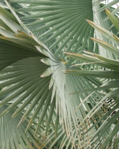 Photo post from kinkbynaturekbn.