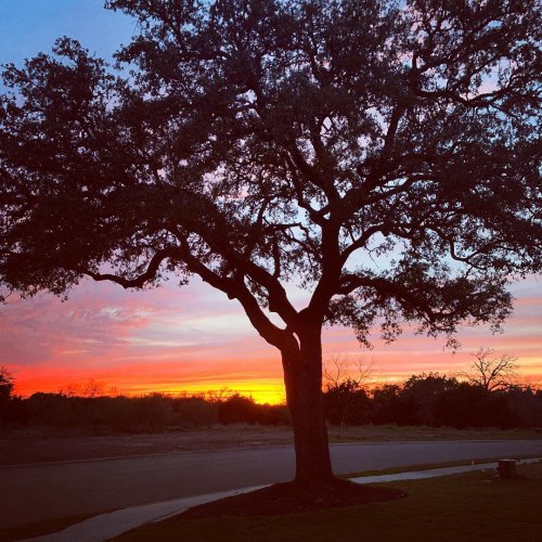 Photo post from kerisellsaustin.