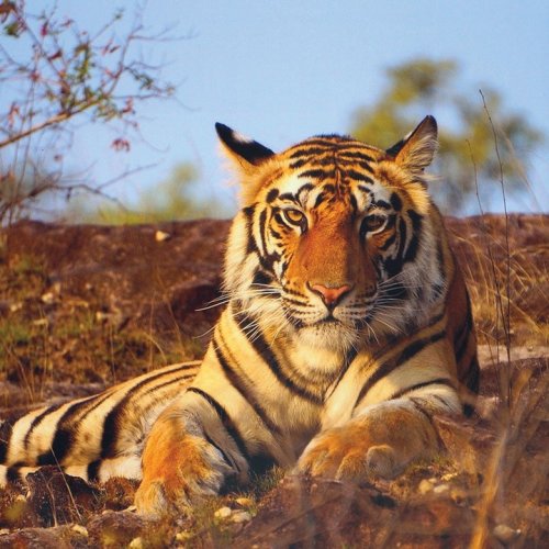 Carousel post from taucktravel.