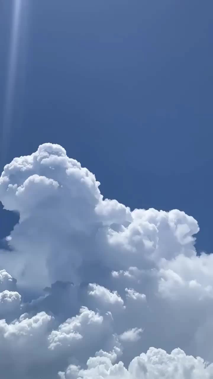 Video post from vistayachts.