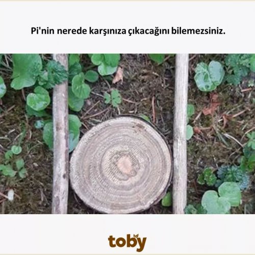 Photo post from tobycomtr.