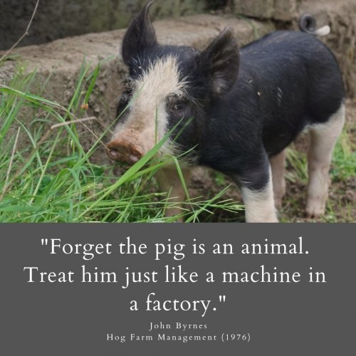 Photo post from hungryhollowfarm.