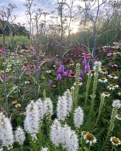 Photo post from sussexprairies.