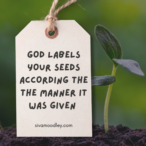 Photo post from drsivamm.