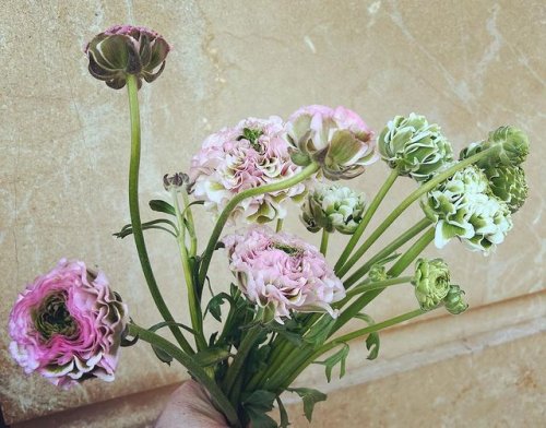 Photo post from giffordsweddings.