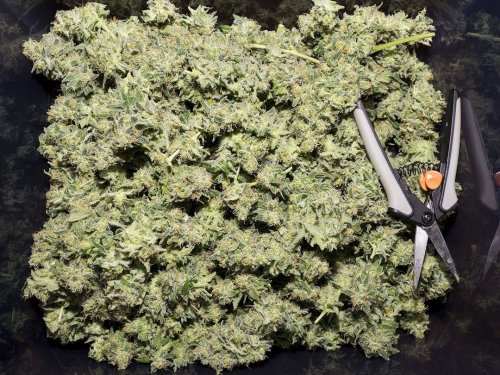 Photo post from kynorml.