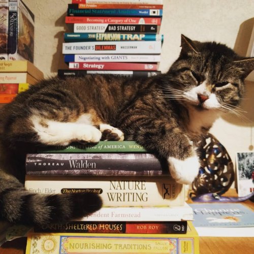 Photo post from hungryhollowfarm.