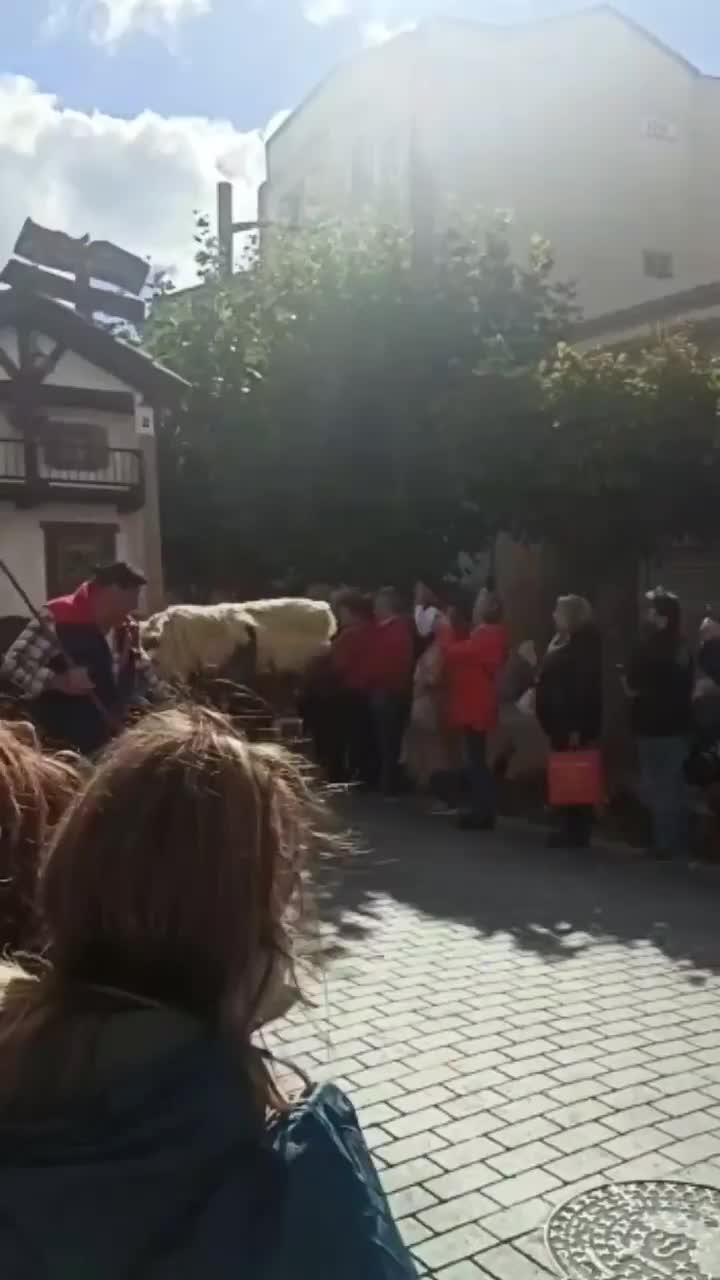 Video post from cantabriaturismo.