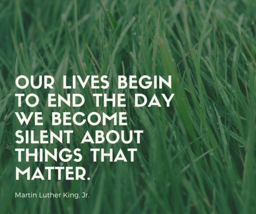 Photo post from hungryhollowfarm.