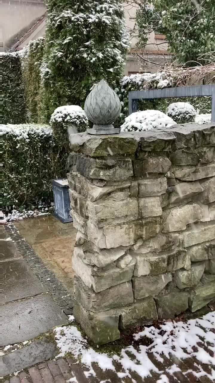 Video post from chronos_collection.