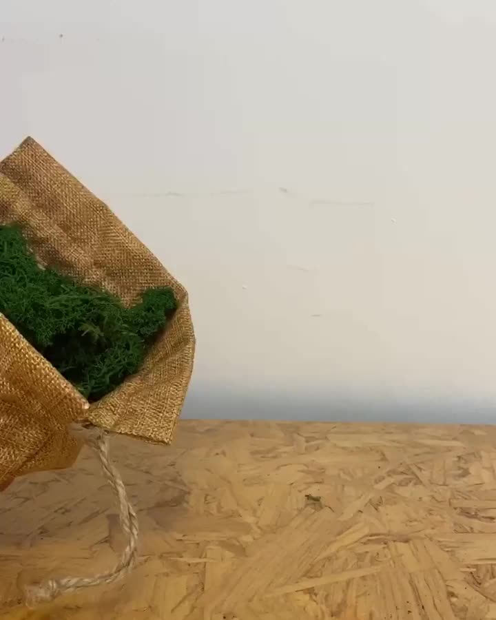 Video post from briiv.natural.
