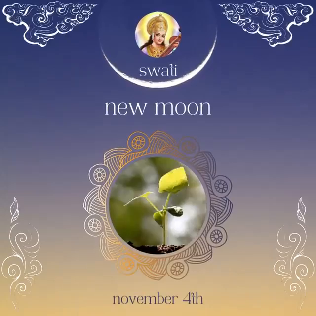 Video post from emilylglaser.