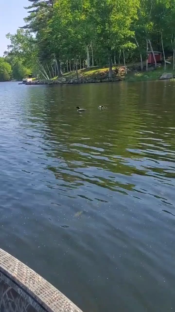 Video post from reddogguideservice.