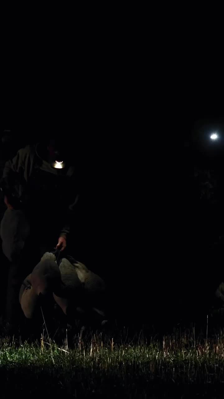 Video post from northernskiesoutfitters.