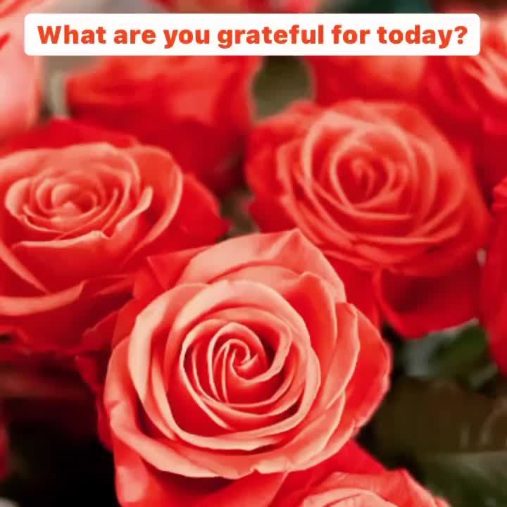 Video post from laurialbert_happymedium.