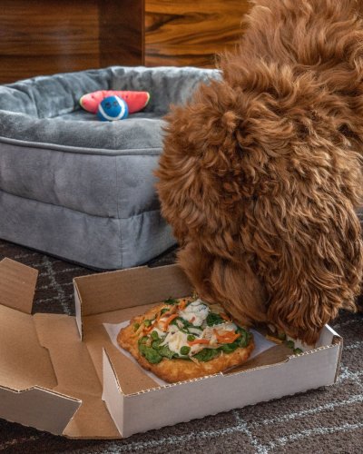 Carousel post from hotel_lucia.