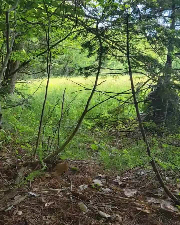 Video post from reddogguideservice.