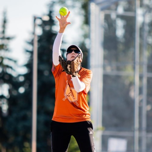 Photo post from sisterhoodsoftball.