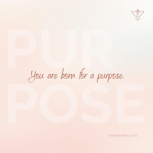 Photo post from drsivamm.