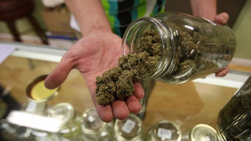 Photo post from kynorml.
