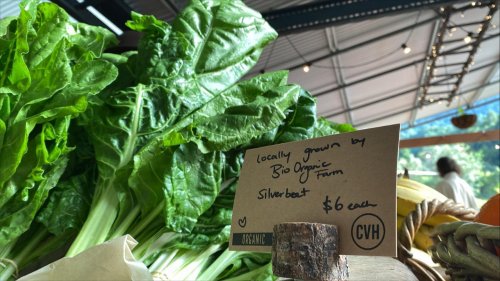 Photo post from currumbinvalleyharvest.