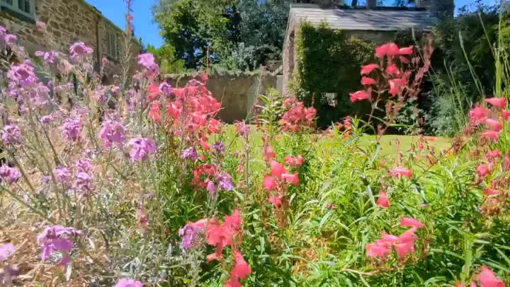 Video post from scott.parry.associates.