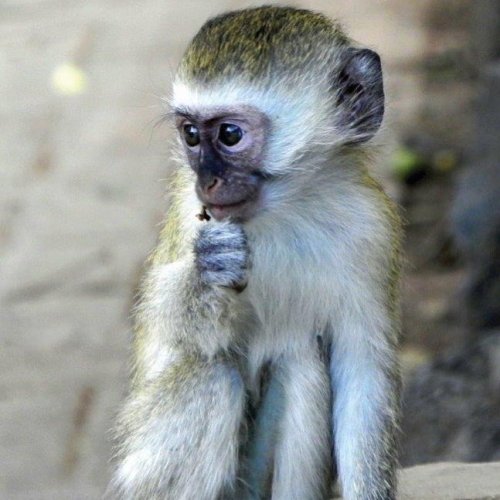 Photo post from taucktravel.