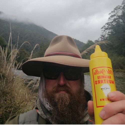 Photo post from oldyellamustard.