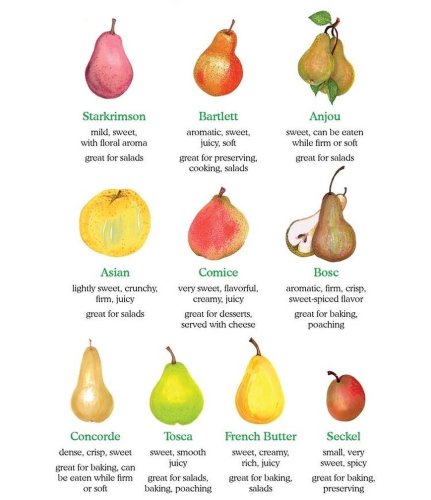 Photo post from farmbox_arizona.