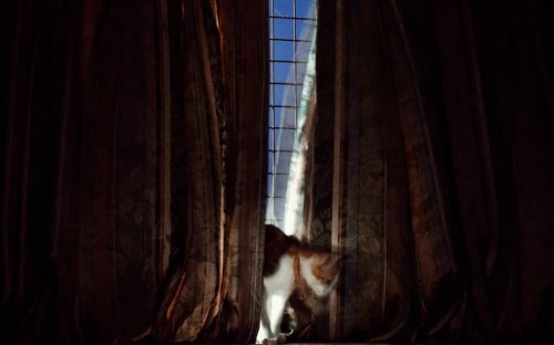 Photo post from jakbobby.