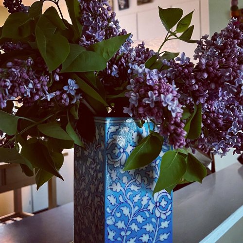 Photo post from freyaetthor.