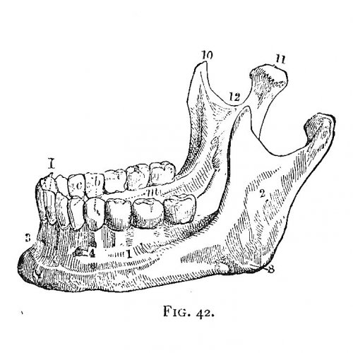 Photo post from bodyharmonie_marrickville.
