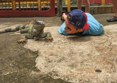 Photo post from taucktravel.