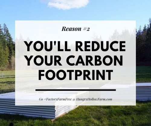 Photo post from hungryhollowfarm.