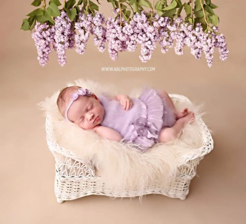 Photo post from abl_photography_sandiego.