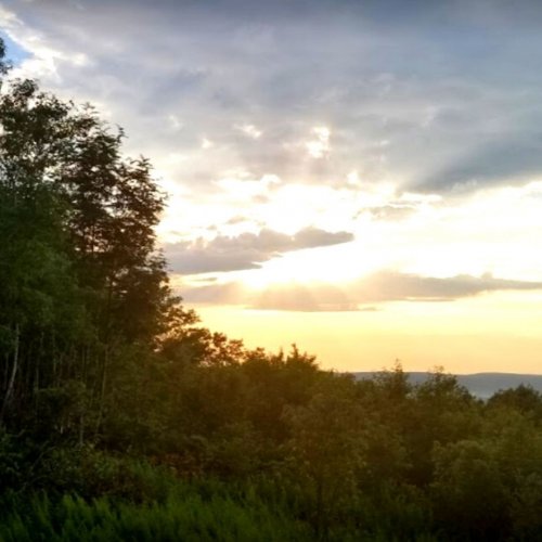 Photo post from hotelonnorth.