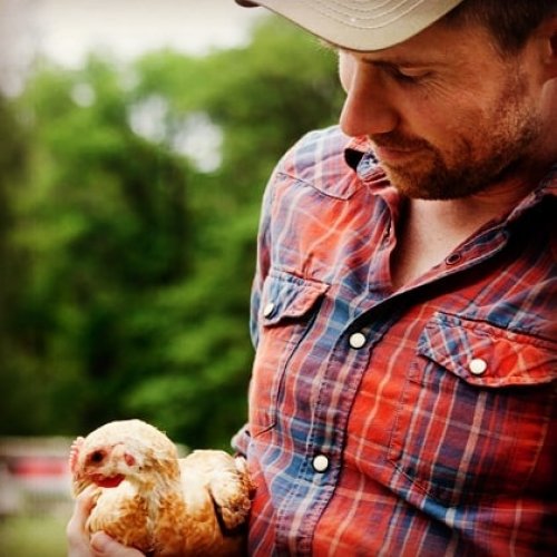 Photo post from hungryhollowfarm.