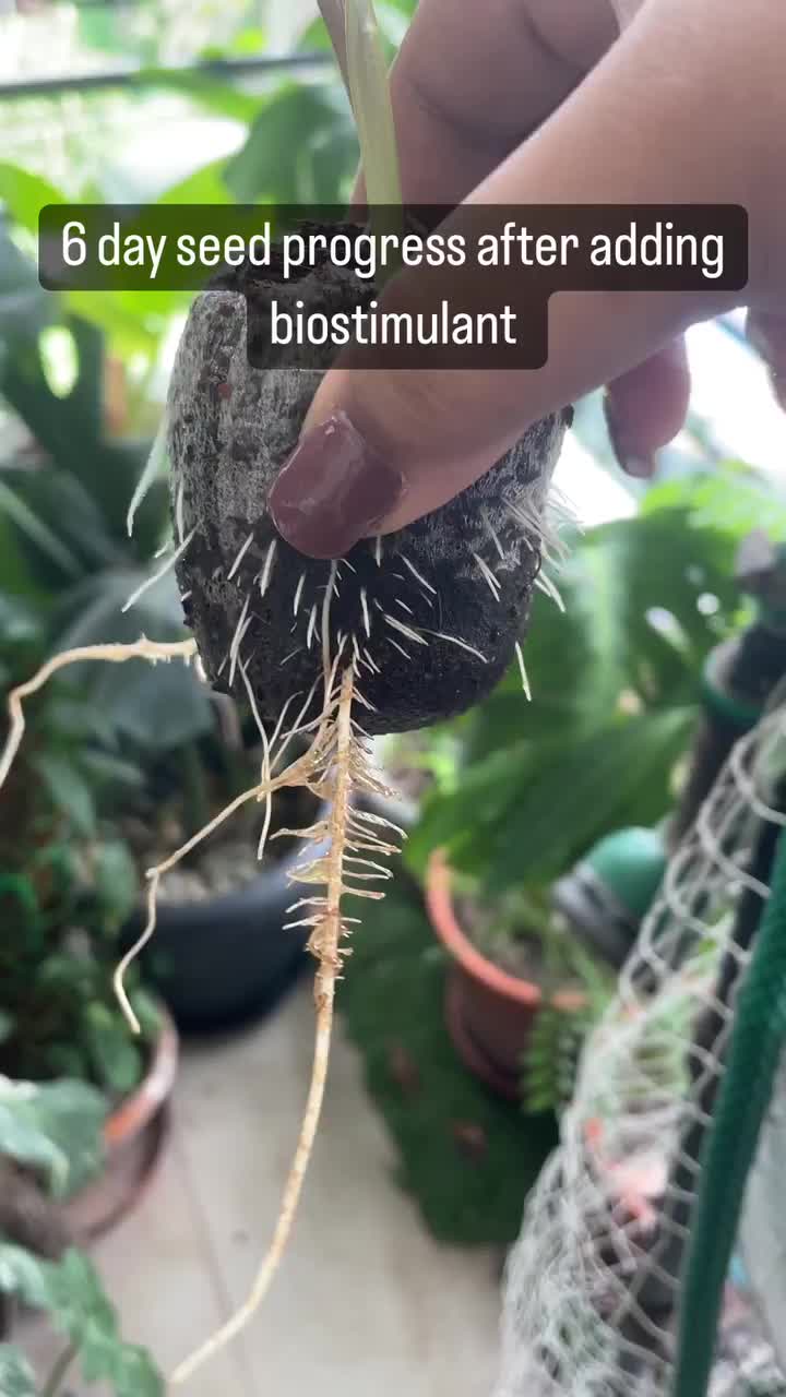 Video post from purkinje_crazyforplants.