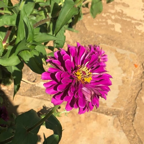 Photo post from hotelonnorth.