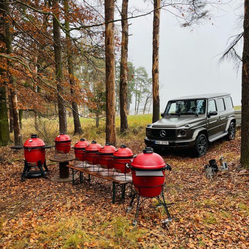 Carousel post from ilovekamadojoe.