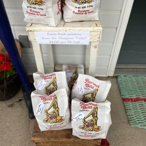 Carousel post from freyaetthor.