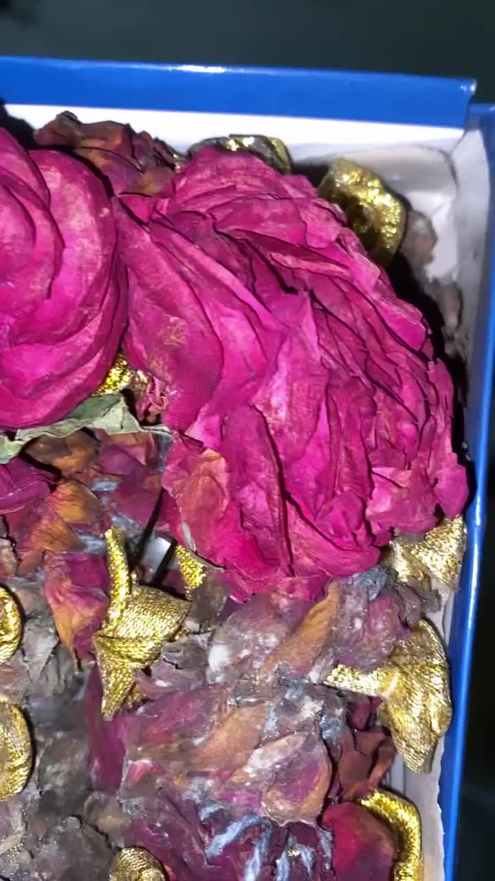 Video post from artofgauri.