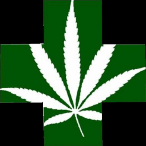 Photo post from kynorml.