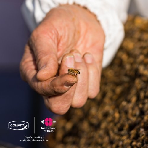 Photo post from comvita_nz.