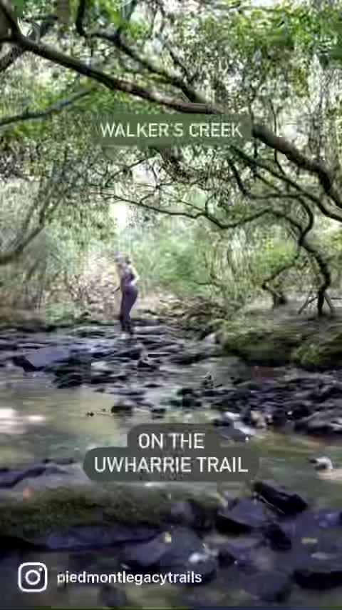 Video post from theheartofnc.