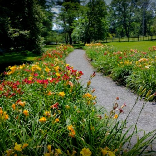 Photo post from hotelonnorth.