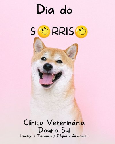 Photo post from clinica_veterinaria_dourosul.