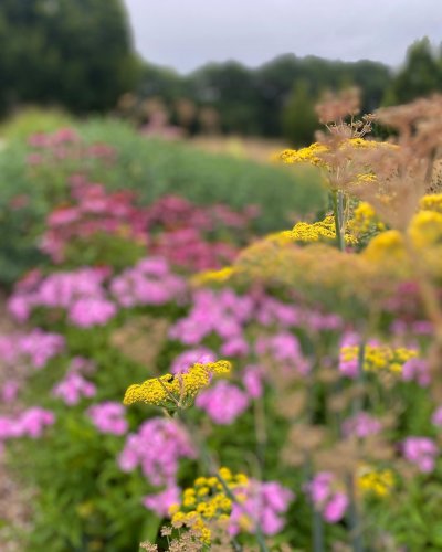 Photo post from sussexprairies.