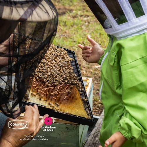 Carousel post from comvita_nz.